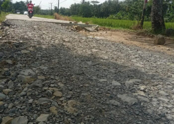 RUSAK - Ruas jalan di Desa Tunggal Jaya - Ujung Jaya, Kecamatan Sumur, Kabupaten Pandeglang, terlihat rusak sepanjang 24 Km. (FAHRIE/SATELITNEWS.COM)