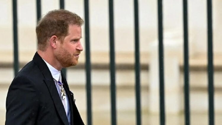 The Crown 6 Suguhkan Skandal Kesalahan Besar Masa Lalu Pangeran Harry