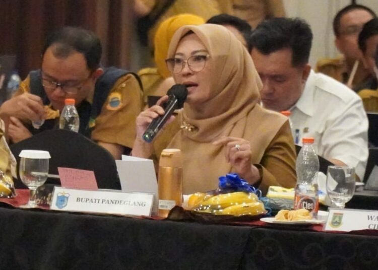 SAMPAIKAN GAGASAN - Bupati Pandeglang Irna Narulita, menyampaikan gagasan dalam acara Kick off Meeting RPJPD Provinsi Banten, Selasa (29/8/2023). (ISTIMEWA)