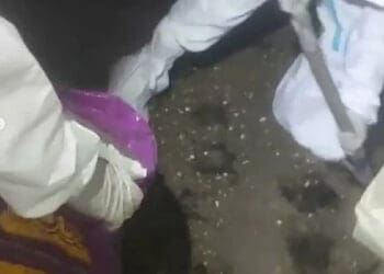 Ribuan Kelelawar Mati di Bekas Konveksi, Warga Desa Rajeg Dicek Kesehatan