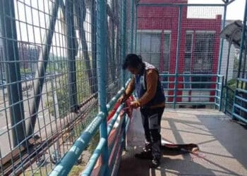 Dishub Kota Tangerang Bersih-bersih JPO
