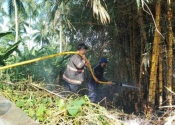 Petugas Damkar BPBDPK Kabupaten Pandeglang, sedang memadamkan kobaran api yang membakar lahan perkebunan, beberapa waktu lalu. (ISTIMEWA)