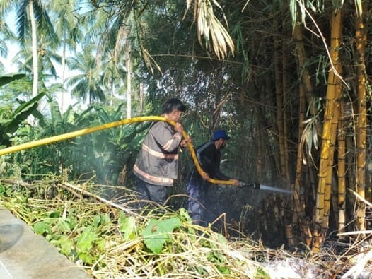 Petugas Damkar BPBDPK Kabupaten Pandeglang, sedang memadamkan kobaran api yang membakar lahan perkebunan, beberapa waktu lalu. (ISTIMEWA)