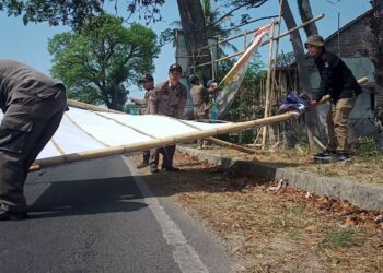 Anggota Satpol PP Kabupaten Pandeglang, menertibkan APK & APS di jalur arteri, Selasa (26/9/2023). (FAHRIE/SATELITNEWS.COM)