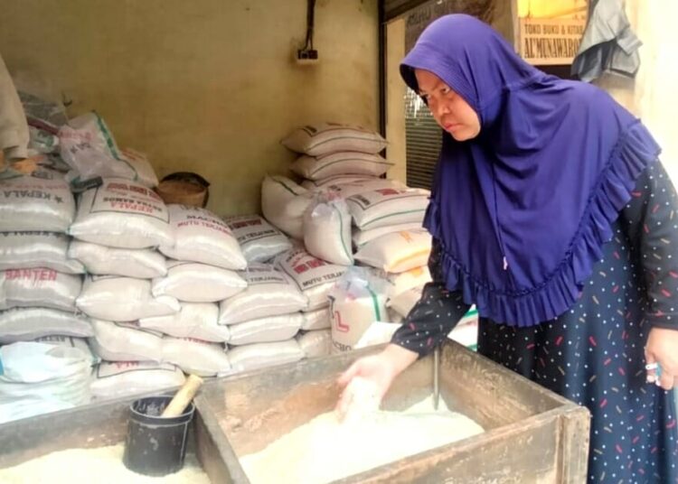 Seorang ibu sedang memilih beras yang akan dibelinya, di pasar, Kamis (14/9/2023). (SIDIK/SATELITNEWS.COM)