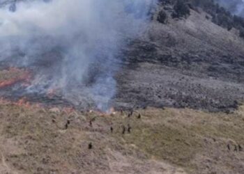 Akses Masuk Gunung Bromo Ditutup Usai Bukit Teletubbies Kebakaran