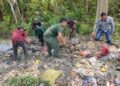 MEMBERSIHKAN SAMPAH : Petugas Balai TNUK dan pihak terkait, membersihkan sampah dan dedaunan kering, Selasa (3/10/2023). (ISTIMEWA)