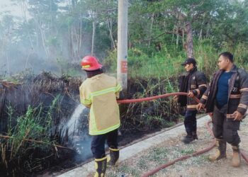 LAHAN TERBAKAR : Lahan di wilayah Kecamatan Panimbang, Kabupaten Pandeglang, terbakar, Selasa (3/10/2023). (ISTIMEWA