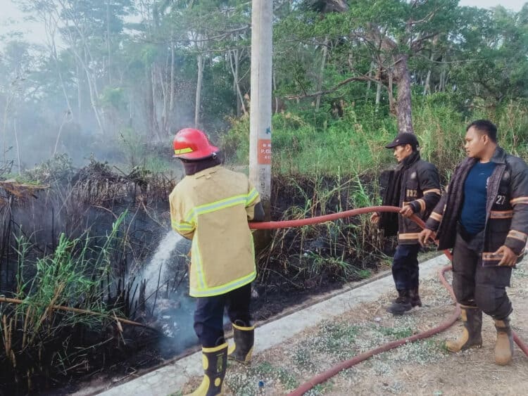 LAHAN TERBAKAR : Lahan di wilayah Kecamatan Panimbang, Kabupaten Pandeglang, terbakar, Selasa (3/10/2023). (ISTIMEWA