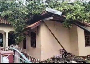 Rumah korban meninggal dunia, rusak parah tertimpa pohon tumbang, di Kabupaten Pandeglang, Kamis (26/10/2023). (ISTIMEWA)