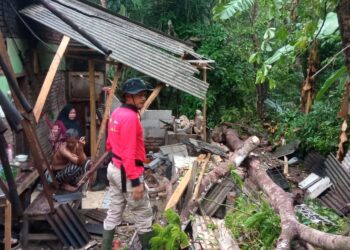 Rumah warga di Kecamatan Angsana, Kabupaten Pandeglang, ambruk tertimpa pohon. (ISTIMEWA)