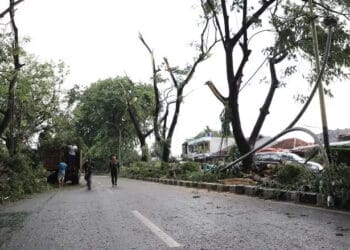 Disbudpar Kota Tangerang Persilakan Masyarakat Ajukan Pemangkasan Pohon