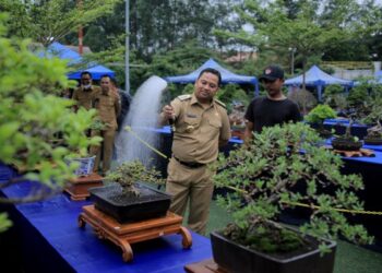 Wali kota Arief Ajak Ramaikan Pameran Bonsai