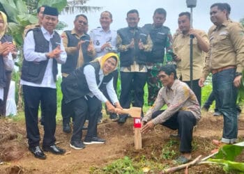 Bupati Serang Ratu Tatu Chasanah, melakukan pemasangan patok batas tanah bersama dengan BPN di Kecamatan Gunungsari, Rabu (31/1/2024). (SIDIK/SATELITNEWS.COM)