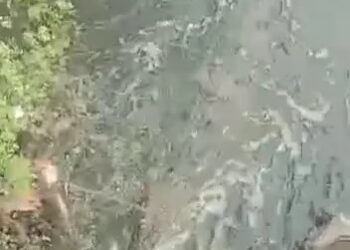 Ketiga Kalinya Buaya Muncul di Kali Sabi,Warga: Harusnya Dikasih Pengumuman Bahaya