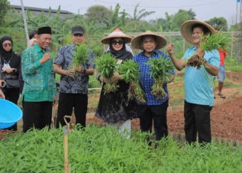 Pj Wali Kota Tangerang Nurdin, panen bareng KWT, Sabtu (6/1/2024). (ISTIMEWA)