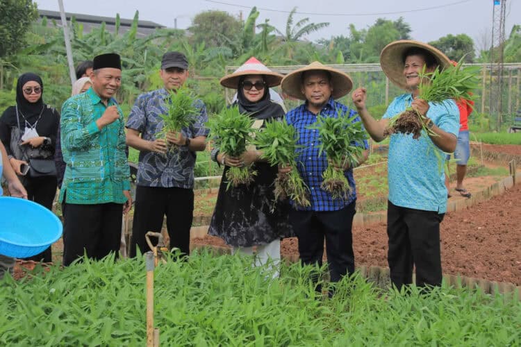 Pj Wali Kota Tangerang Nurdin, panen bareng KWT, Sabtu (6/1/2024). (ISTIMEWA)