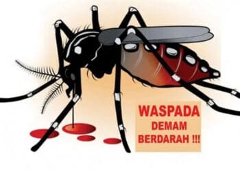 ILUSTRASI
