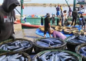 Retribusi Ikan Naik, Nelayan di Lebak Mengeluh