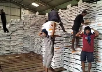 Meski Ratusan Hektare Sawah Teredam Banjir, Lebak Yakin Surplus Beras