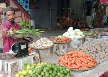 Imbas Petani Gagal Panen, Harga Sayuran Lebak Merangkak Naik