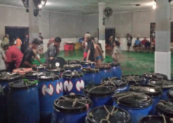 Sejumlah nelayan melelangkan ikan di TPI 2 Teluk, Kecamatan Labuan, Kabupaten Pandeglang, beberapa waktu lalu. (DOKUMEN/SATELITNEWS.COM)