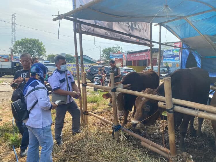 Puskeswan Sidak 120 Lapak, Hewan Kurban di Tangsel Hanya Terjangkit Sakit Mata