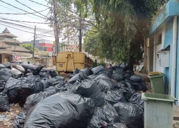 Sampah domestik, menumpuk disamping kantor ULP atau UKPBJ Setda Kabupaten Serang, Senin (24/6/2024). (SIDIK/SATELITNEWS.COM)