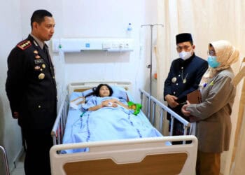 TINJAU ART YANG LOMPAT DARI KETINGIIAN – PJ WALIKOTA1