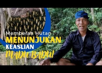 Membelah Hutan, Menunjukan Keaslian Madu Baduy