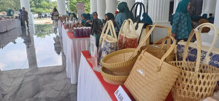 Salah satu stand UMKM, yang mengikuti Pembinaan Pemasaran Produk melalui Galeri Pelangi, bagi Pelatihan Kader Khusus (UP2K) yang dilaksankan oleh TP PKK Provinsi Banten, Selasa (9/7/2024). (LUTHFI/SATELITNEWS.COM)