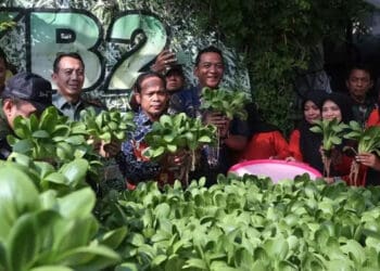Urban Farming untuk Kendalikan Inflasi
