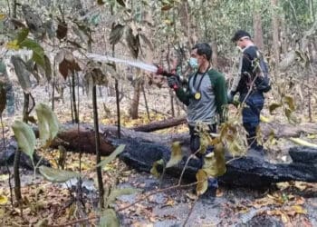 Petugas BPBDPK Kabupaten Pandeglang dan gabungan tim lainnya, memadamkan api yang membakar hutan di Pulau Deli, Kabupaten Pandeglang. (ISTIMEWA')