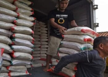 Stok Beras Hingga Desember di Lebak Masih Aman