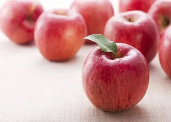 7 Manfaat Kesehatan dari Buah Apel