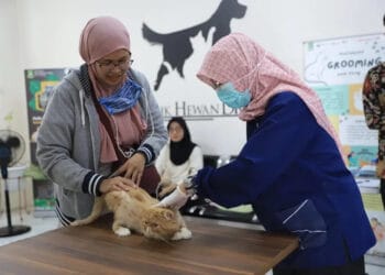 Dinas Ketahanan Pangan Ajak Masyarakat Manfaatkan Puskeswas Kota Tangerang