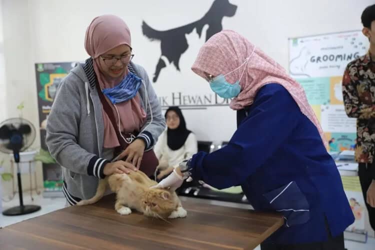 Dinas Ketahanan Pangan Ajak Masyarakat Manfaatkan Puskeswas Kota Tangerang