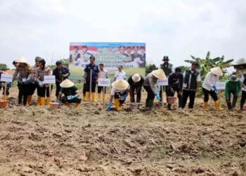 Pemkot Tangerang Bersama Polres Metro Tangerang Kota Tanam Bibit Jagung