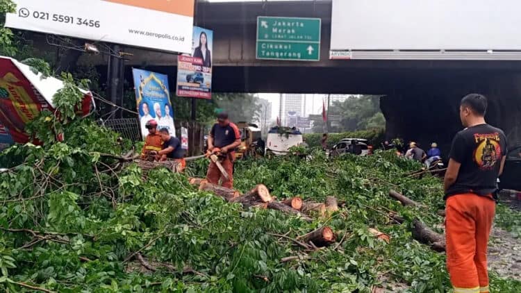 Pemilik Kendaraan yang Jadi Korban Pohon Tumbang di Kota Tangerang Ditanggung Asuransi