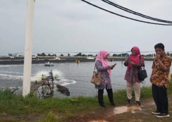 IMG-20241111-WA0046