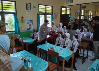 IMG-20241119-WA0029