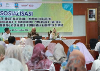 IMG-20241120-WA0034