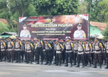 IMG-20241126-WA0026
