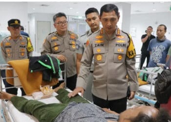 IMG_20241101_132805
