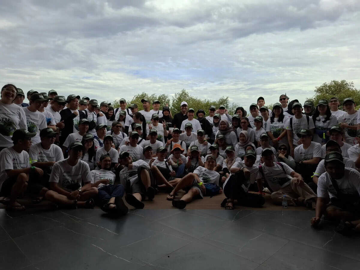 Mangrove Project
