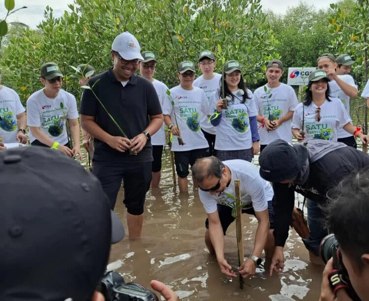 Mangrove Project