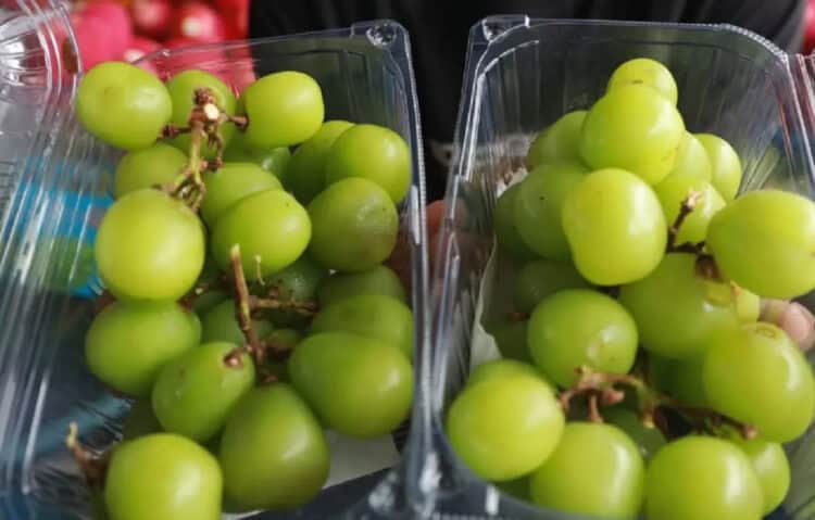 Besok, BPOM akan Umumkan Hasil Lab Anggur Shine Muscat