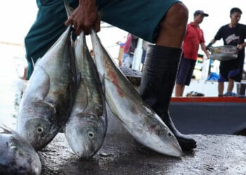 Kabupaten Pandeglang