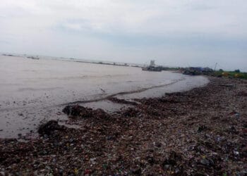Terkait Bangunan Liar di Pantai Teluk, DPKPP Pandeglang Tidak Bisa Berbuat Banyak