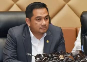 Tertibkan Lahan Ilegal dan Telantar, DPR Usulkan Land Amnesty